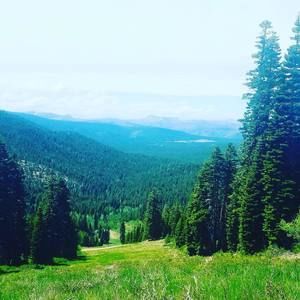 Meet your Posher, Pete